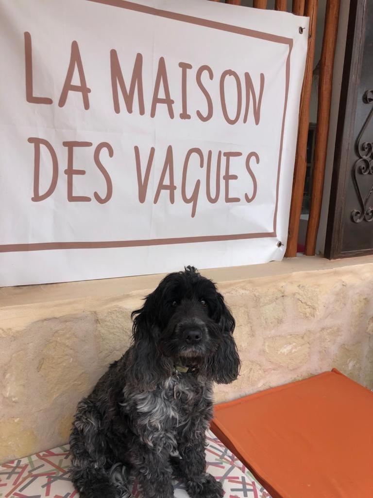 La Maison Des Vagues 西迪考乌奇 外观 照片